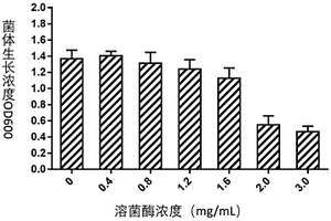 全長(zhǎng)可回收樹脂金屬錨桿