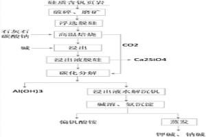 綜合回收含釩硅質(zhì)頁巖中釩、鋁、鉀、硅的選冶聯(lián)合工藝