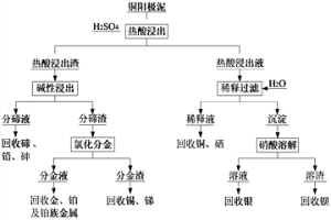 銅陽極泥的全濕法預(yù)處理方法