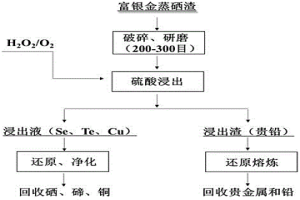 富銀金蒸硒渣浸出分離有價金屬的方法