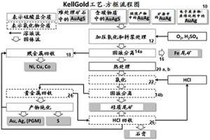 用于萃取貴元素、賤元素和稀有元素的處理工藝