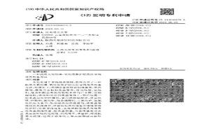 抗明火氧化鎂-氧化鋯保護(hù)超高溫導(dǎo)線及其制備方法