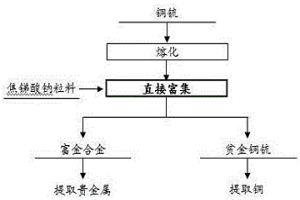 從銅锍中直接富集貴金屬的方法