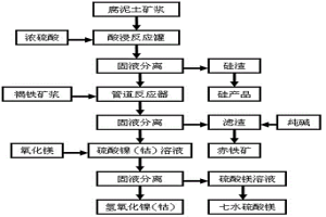 從紅土鎳礦中回收鎳、鈷、鐵、硅和鎂的方法