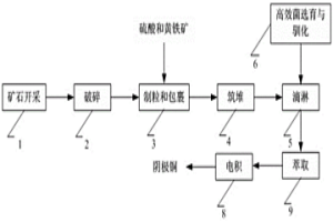 高效硫氧化菌及用于高寒地區(qū)低硫銅礦浸出過程快速升溫的工藝