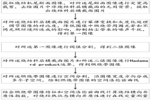 燒結(jié)熱狀態(tài)橫向異質(zhì)性在線定量測量方法