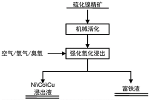 低溫常壓選擇性提取硫化鎳精礦中有價(jià)金屬的方法