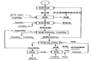 從高鎂鎳精礦中綜合回收鎳、銅、鈷、硫和鎂的工藝