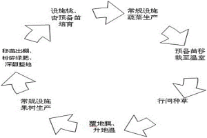 溫室高效、可持續(xù)生產(chǎn)方法及果樹盆栽基質(zhì)