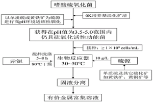 利用嗜酸微生物硫氧化促進赤泥中有價金屬浸出的方法