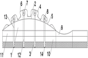 電極板面結(jié)構(gòu)