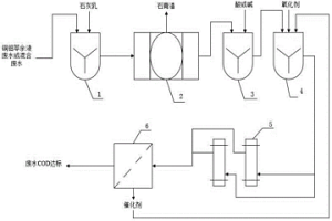銅、鉬萃余液混合廢水去除COD的處理系統(tǒng)