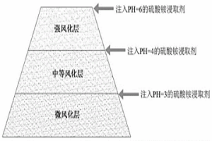 離子吸附型稀土的原地浸取方法