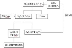 循環(huán)利用氯化鈣處理包頭礦轉(zhuǎn)型硫酸鎂廢水的方法