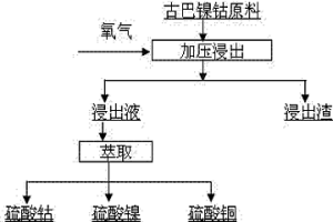 浸出古巴鎳鈷原料的方法