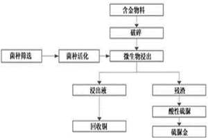 兩步法從廢棄電子物料中回收銅和金的方法