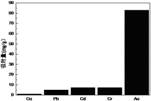 選擇性吸附金的吸附劑及其制備方法和應(yīng)用