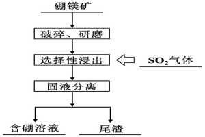 利用SO<Sub>2</Sub>氣體選擇性浸出硼鎂礦的方法