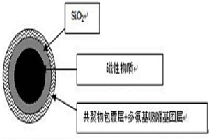 磁性固體多氨基吸附劑顆粒材料、制備方法及其應(yīng)用