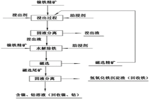 鎳鐵精礦的硫酸選擇性浸出的方法