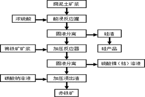 通過聯(lián)合浸出工藝從紅土鎳礦中回收鎳、鈷、鐵和硅的方法