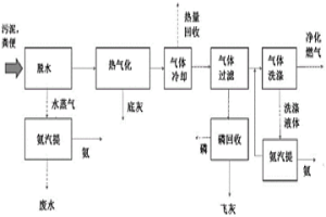 來自污水污泥和動(dòng)物糞便的營(yíng)養(yǎng)物和能量回收