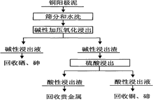 銅陽極泥的預(yù)處理方法