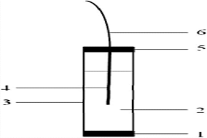 PVC膜Ce（Ⅳ）離子選擇性電極及其制備方法和應(yīng)用