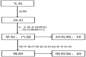 處理固體廢物焚燒飛灰中重金屬的方法