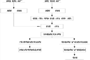 利用晶種誘導(dǎo)除鐵促進(jìn)黃銅礦生物浸出的方法