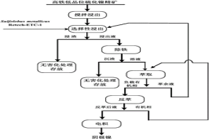 高鐵低品位硫化鎳礦選擇性生物浸出工藝