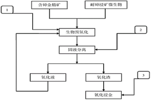 利用高砷離子耐受性浸礦微生物進行含砷難浸金礦微生物預(yù)氧化的方法