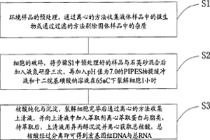 礦區(qū)環(huán)境樣品微生物基因組DNA與總RNA同時提取的方法