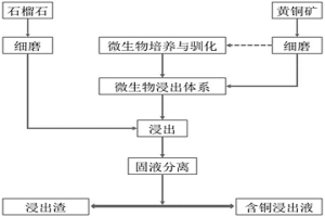 利用石榴石促進(jìn)黃銅礦微生物浸出的方法