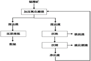 加壓酸浸分離鉍精礦中鉍和銅鐵的方法