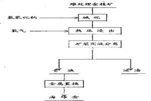 從難處理金精礦中提取金的方法