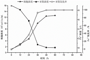 嗜酸鐵氧化微生物復(fù)合菌劑及其制備方法