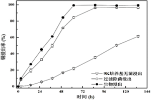 一株氧化亞鐵硫桿菌及其應用