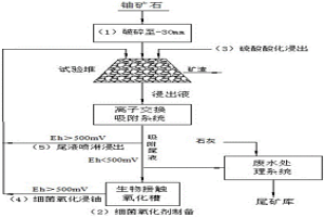 碳硅泥巖型鈾礦石細(xì)菌浸鈾方法