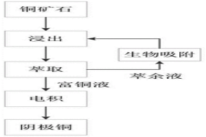 用于萃余液處理的微生物菌劑制備技術(shù)與應(yīng)用