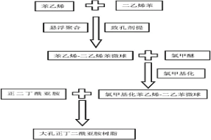 大孔正二丁酰亞胺吸附樹脂及其制備方法