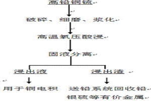 鉛銅锍氧壓酸浸過(guò)程中直接除鐵的方法