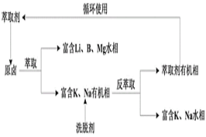 鹵水中鉀和鋰的預(yù)富集萃取體系及預(yù)富集方法