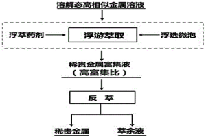 基于浮游萃取的溶解態(tài)高相似稀貴金屬富集分離方法