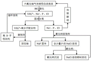 六氟化鈾堿吸收液廢液中鈾與氟的回收方法