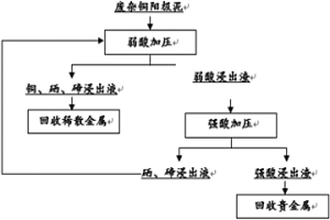 從廢雜陽極銅泥中浸出硒和碲的方法以及提取硒和碲的方法