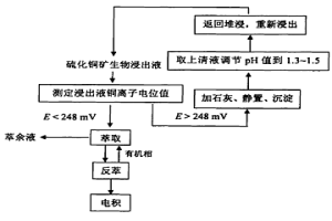 應(yīng)用離子選擇電極控制硫化銅礦生物浸出液萃取過程中第三相形成的工藝