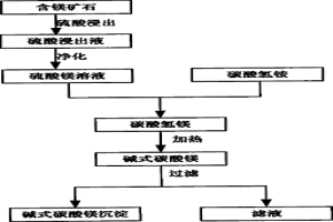 含鎂礦石的浸出方法