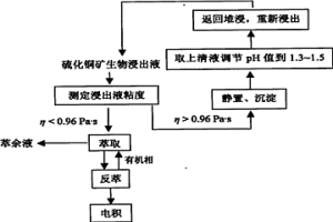 控制硫化銅礦生物浸出液萃取過程中第三相形成的新工藝