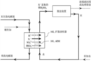 從硫酸體系電解液中選擇性去除一價陰離子雜質(zhì)的方法